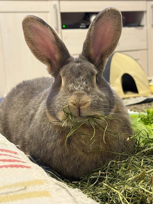 Klicke auf die Grafik f�r eine gr��ere Ansicht

Name:	IMG-20260208-WA0008.jpg
Hits:	0
Gr��e:	305,1 KB
ID:	216203