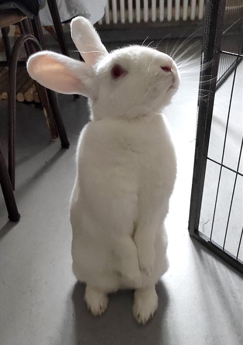 Klicke auf die Grafik f�r eine gr��ere Ansicht

Name:	WEB-Gretchen-08.jpg
Hits:	0
Gr��e:	119,4 KB
ID:	216217