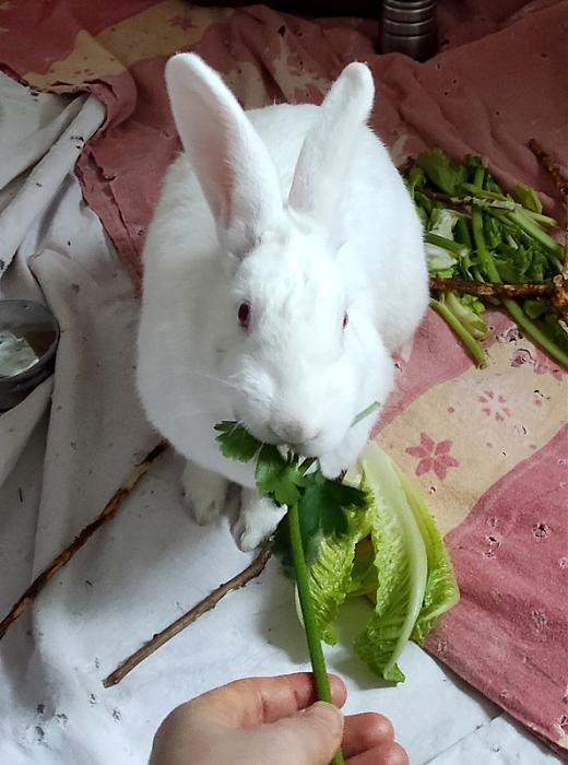 Klicke auf die Grafik f�r eine gr��ere Ansicht

Name:	WEB-Gretchen-10.jpg
Hits:	0
Gr��e:	163,1 KB
ID:	216219