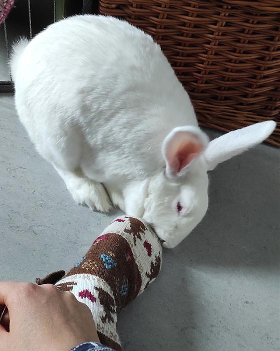 Klicke auf die Grafik f�r eine gr��ere Ansicht

Name:	WEB-Gretchen-06.jpg
Hits:	0
Gr��e:	159,3 KB
ID:	216220