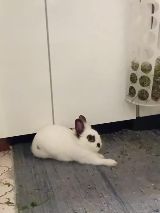 Klicke auf die Grafik f�r eine gr��ere Ansicht

Name:	IMG-20260215-WA0048.jpg
Hits:	0
Gr��e:	60,5 KB
ID:	216254