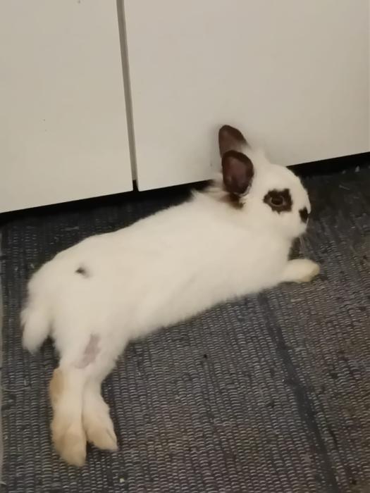 Klicke auf die Grafik f�r eine gr��ere Ansicht

Name:	IMG-20260215-WA0050.jpg
Hits:	0
Gr��e:	102,3 KB
ID:	216255