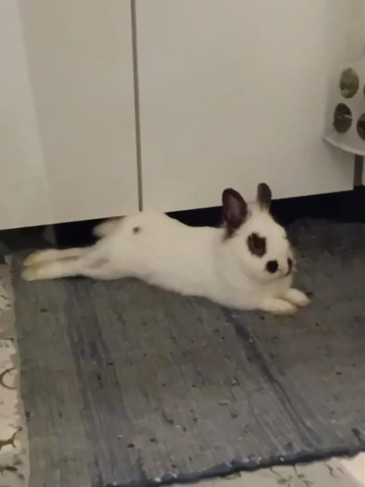 Klicke auf die Grafik f�r eine gr��ere Ansicht

Name:	IMG-20260215-WA0043.jpg
Hits:	1
Gr��e:	54,8 KB
ID:	216256