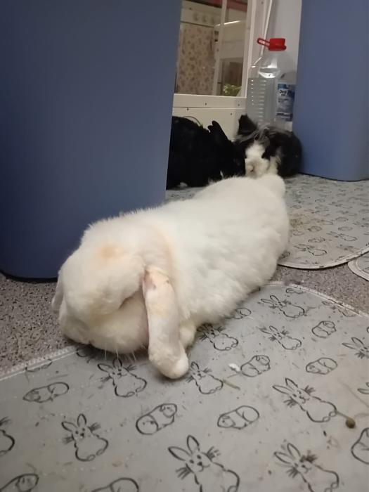 Klicke auf die Grafik f�r eine gr��ere Ansicht

Name:	IMG-20260215-WA0051.jpg
Hits:	0
Gr��e:	87,6 KB
ID:	216260