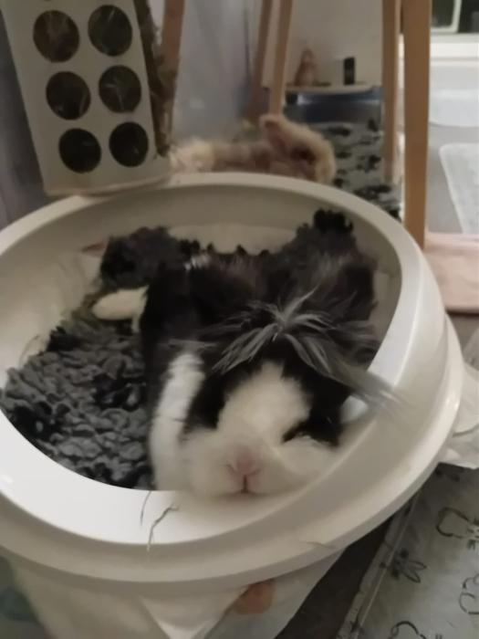 Klicke auf die Grafik f�r eine gr��ere Ansicht

Name:	IMG-20260215-WA0042.jpg
Hits:	0
Gr��e:	82,1 KB
ID:	216262