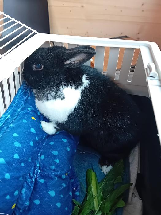 Klicke auf die Grafik f�r eine gr��ere Ansicht

Name:	IMG-20260215-WA0053.jpg
Hits:	0
Gr��e:	175,4 KB
ID:	216263