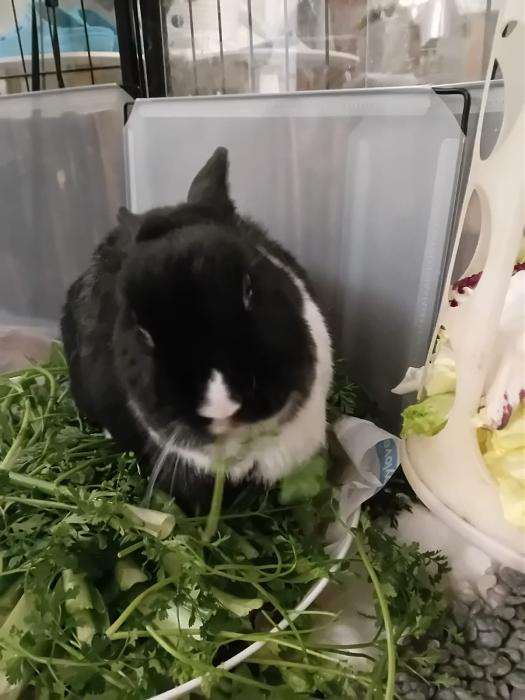 Klicke auf die Grafik f�r eine gr��ere Ansicht

Name:	IMG-20260215-WA0052.jpg
Hits:	0
Gr��e:	125,4 KB
ID:	216264