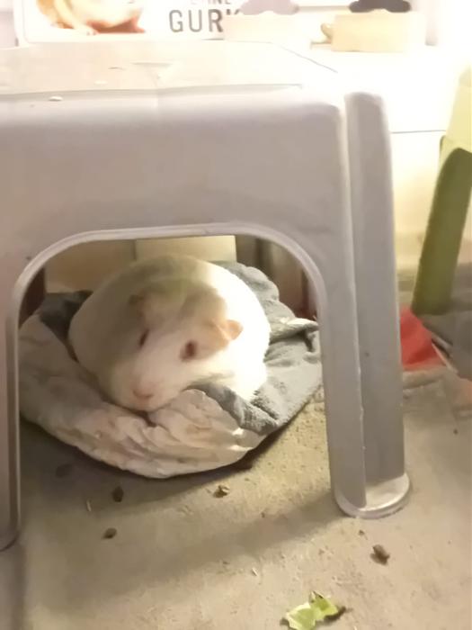 Klicke auf die Grafik f�r eine gr��ere Ansicht

Name:	IMG-20260215-WA0046.jpg
Hits:	1
Gr��e:	72,9 KB
ID:	216269