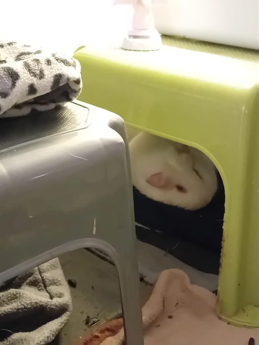 Klicke auf die Grafik f�r eine gr��ere Ansicht

Name:	IMG-20260215-WA0038.jpg
Hits:	0
Gr��e:	73,8 KB
ID:	216270