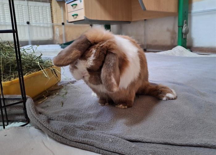 Klicke auf die Grafik f�r eine gr��ere Ansicht

Name:	Screenshot_20260216_184544_Gallery.jpg
Hits:	0
Gr��e:	224,4 KB
ID:	216272