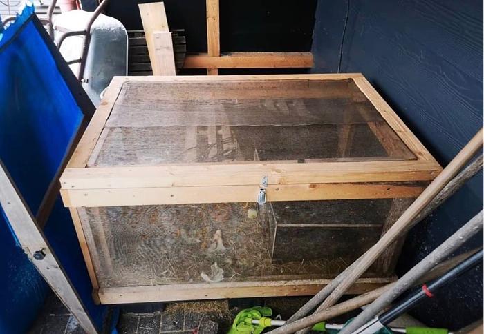 Klicke auf die Grafik f�r eine gr��ere Ansicht

Name:	IMG_1156.JPG
Hits:	0
Gr��e:	130,9 KB
ID:	216274