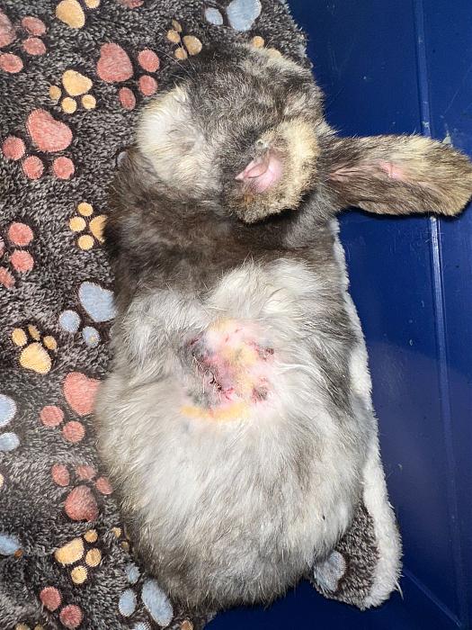 Klicke auf die Grafik f�r eine gr��ere Ansicht

Name:	IMG_1153.jpg
Hits:	0
Gr��e:	321,5 KB
ID:	216276