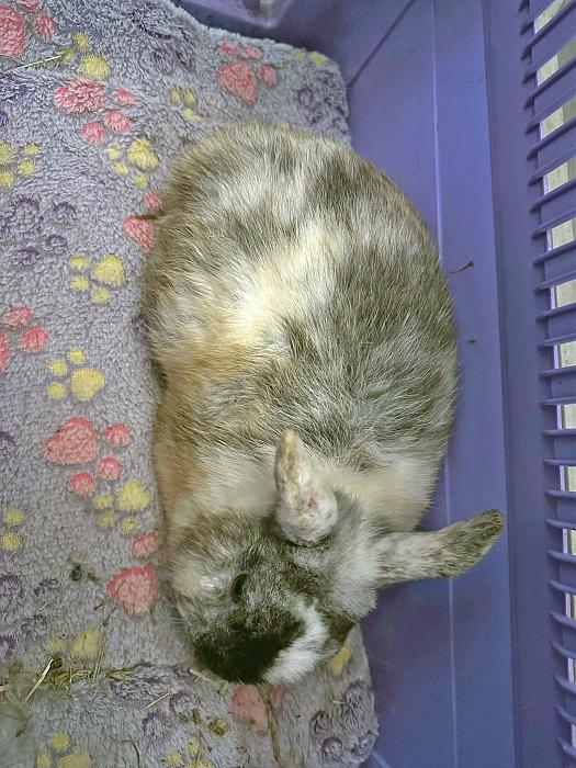 Klicke auf die Grafik f�r eine gr��ere Ansicht

Name:	IMG_1154.jpg
Hits:	0
Gr��e:	314,7 KB
ID:	216277