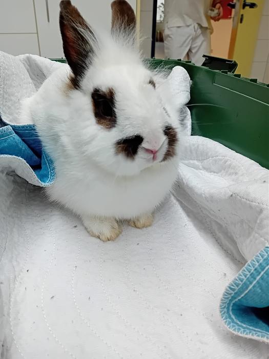 Klicke auf die Grafik f�r eine gr��ere Ansicht

Name:	IMG-20260222-WA0125.jpg
Hits:	0
Gr��e:	138,8 KB
ID:	216294