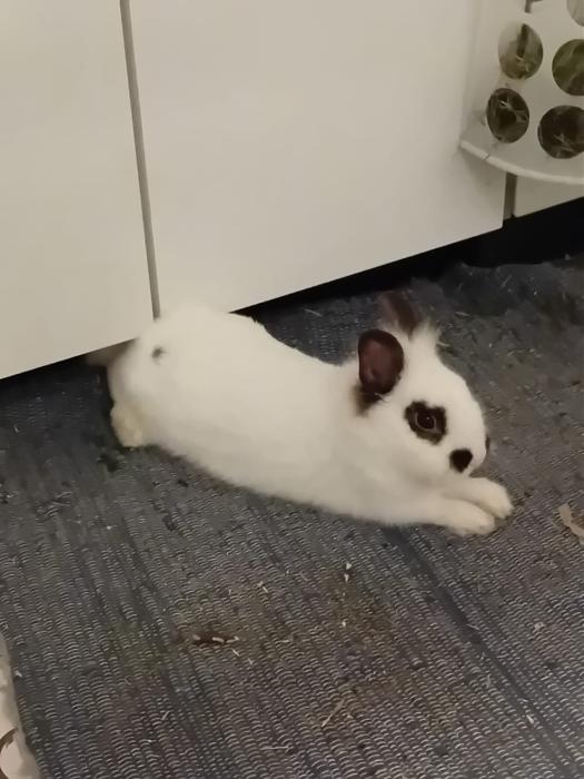 Klicke auf die Grafik f�r eine gr��ere Ansicht

Name:	IMG-20260222-WA0120.jpg
Hits:	0
Gr��e:	125,0 KB
ID:	216295