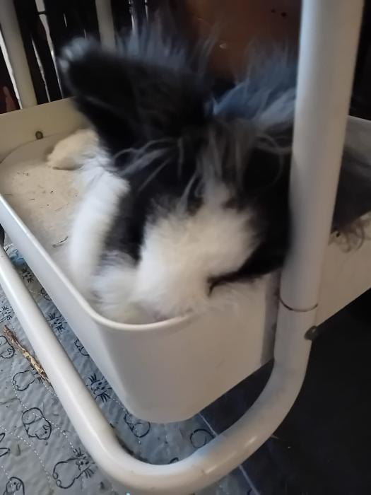 Klicke auf die Grafik f�r eine gr��ere Ansicht

Name:	IMG-20260222-WA0128.jpg
Hits:	0
Gr��e:	86,9 KB
ID:	216298