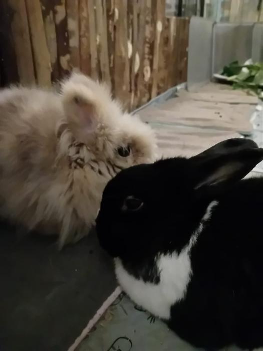 Klicke auf die Grafik f�r eine gr��ere Ansicht

Name:	IMG-20260222-WA0116.jpg
Hits:	0
Gr��e:	73,0 KB
ID:	216302