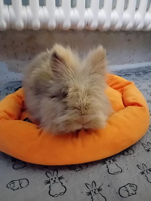 Klicke auf die Grafik f�r eine gr��ere Ansicht

Name:	IMG-20260222-WA0111.jpg
Hits:	0
Gr��e:	98,6 KB
ID:	216304