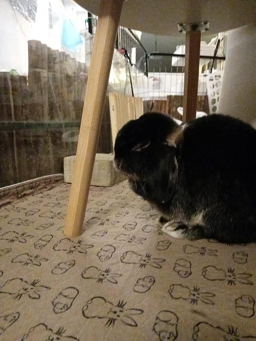 Klicke auf die Grafik f�r eine gr��ere Ansicht

Name:	IMG-20260222-WA0107.jpg
Hits:	0
Gr��e:	184,1 KB
ID:	216311