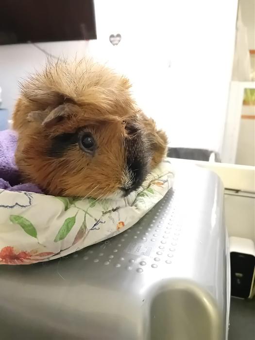 Klicke auf die Grafik f�r eine gr��ere Ansicht

Name:	IMG-20260222-WA0119.jpg
Hits:	0
Gr��e:	104,6 KB
ID:	216313