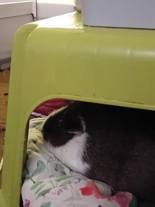 Klicke auf die Grafik f�r eine gr��ere Ansicht

Name:	IMG-20260222-WA0126.jpg
Hits:	0
Gr��e:	61,8 KB
ID:	216314