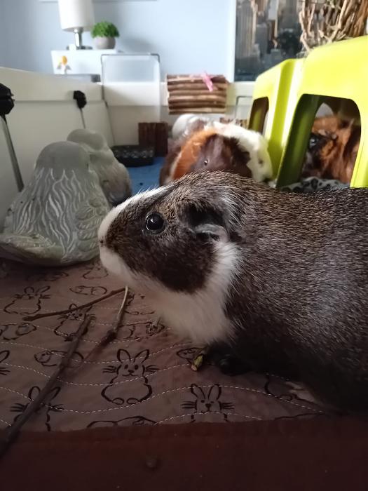 Klicke auf die Grafik f�r eine gr��ere Ansicht

Name:	IMG-20260222-WA0106.jpg
Hits:	0
Gr��e:	151,5 KB
ID:	216315