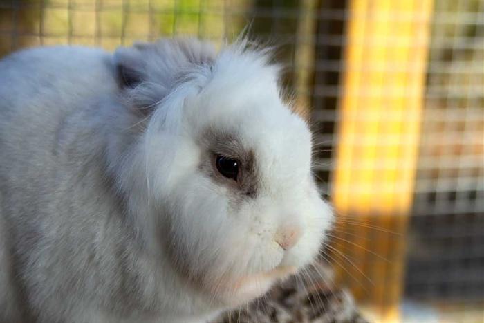 Klicke auf die Grafik f�r eine gr��ere Ansicht

Name:	IMG_1265_bearbeitet-1.jpg
Hits:	0
Gr��e:	35,4 KB
ID:	216360