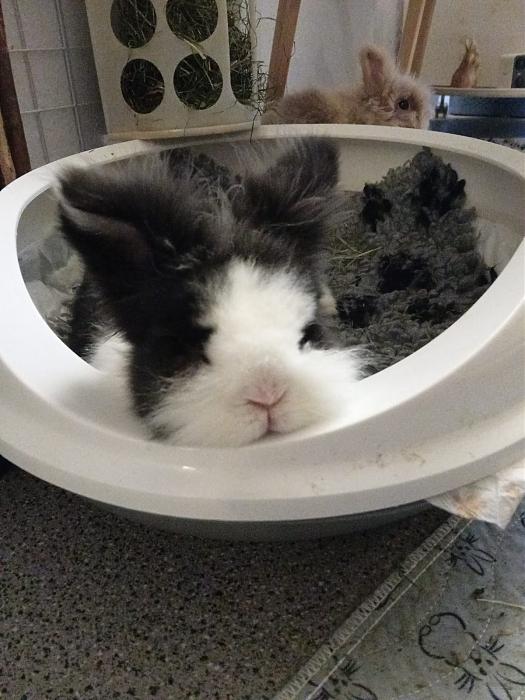 Klicke auf die Grafik f�r eine gr��ere Ansicht

Name:	IMG-20260301-WA0067.jpg
Hits:	0
Gr��e:	187,2 KB
ID:	216383