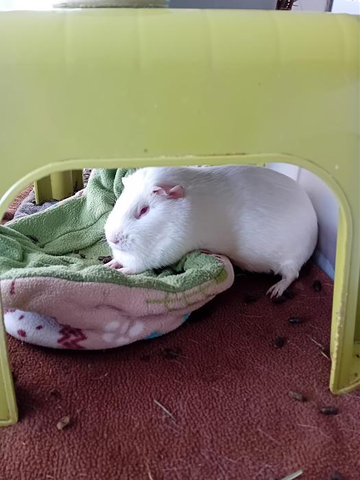 Klicke auf die Grafik f�r eine gr��ere Ansicht

Name:	IMG-20260301-WA0080.jpg
Hits:	0
Gr��e:	130,0 KB
ID:	216385