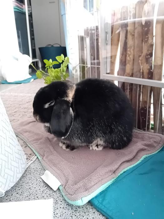 Klicke auf die Grafik f�r eine gr��ere Ansicht

Name:	IMG-20260308-WA0090.jpg
Hits:	0
Gr��e:	229,9 KB
ID:	216391