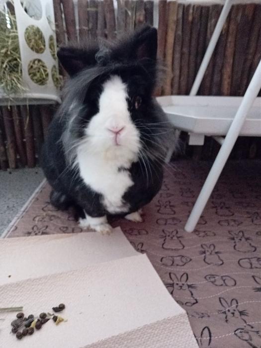 Klicke auf die Grafik f�r eine gr��ere Ansicht

Name:	IMG-20260308-WA0082.jpg
Hits:	0
Gr��e:	241,3 KB
ID:	216393