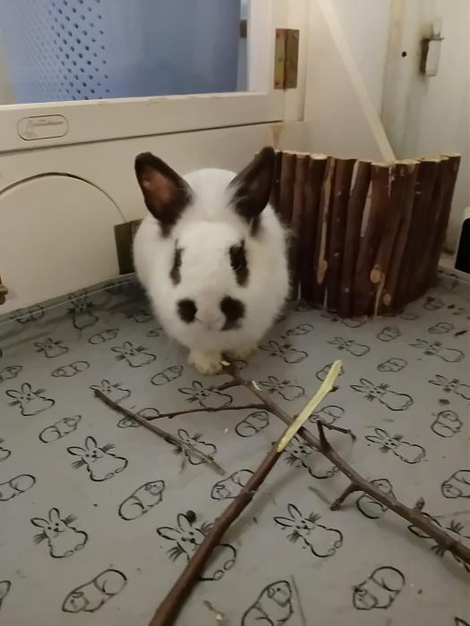 Klicke auf die Grafik f�r eine gr��ere Ansicht

Name:	IMG-20260308-WA0078.jpg
Hits:	0
Gr��e:	147,8 KB
ID:	216398