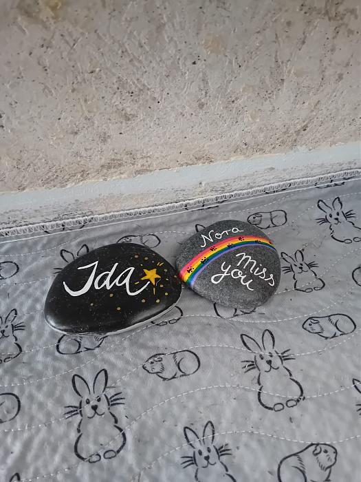 Klicke auf die Grafik f�r eine gr��ere Ansicht

Name:	IMG-20260308-WA0091.jpg
Hits:	1
Gr��e:	294,2 KB
ID:	216399