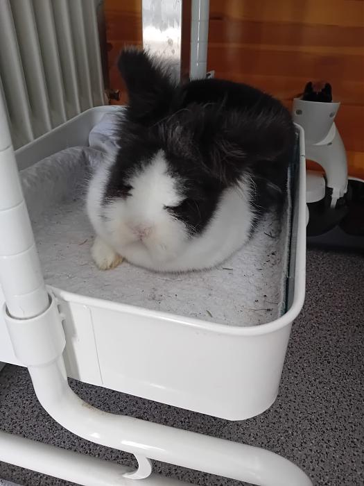 Klicke auf die Grafik f�r eine gr��ere Ansicht

Name:	IMG-20260308-WA0092.jpg
Hits:	0
Gr��e:	209,3 KB
ID:	216400