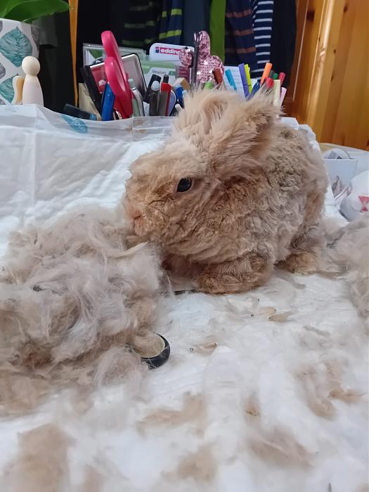 Klicke auf die Grafik f�r eine gr��ere Ansicht

Name:	IMG-20260308-WA0088.jpg
Hits:	0
Gr��e:	204,1 KB
ID:	216401