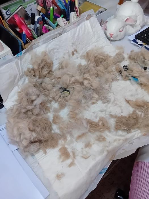 Klicke auf die Grafik f�r eine gr��ere Ansicht

Name:	IMG-20260308-WA0089.jpg
Hits:	0
Gr��e:	221,1 KB
ID:	216402