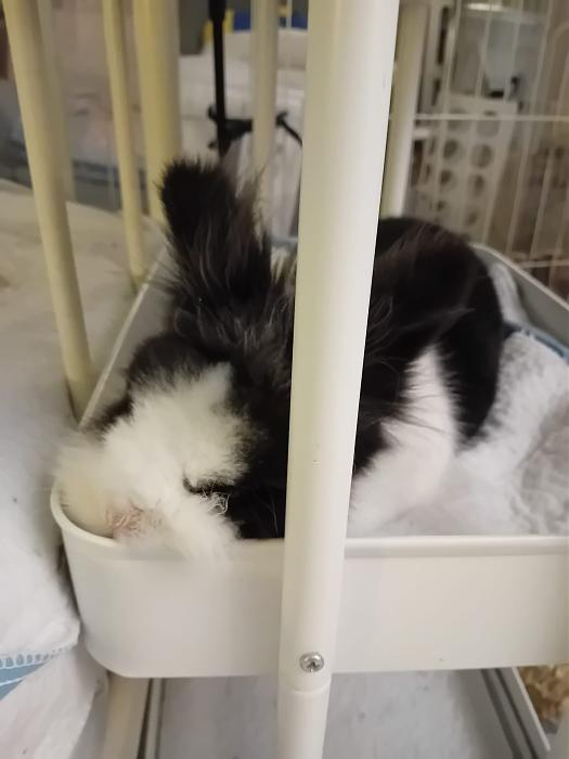 Klicke auf die Grafik f�r eine gr��ere Ansicht

Name:	IMG-20260308-WA0077.jpg
Hits:	0
Gr��e:	131,3 KB
ID:	216404