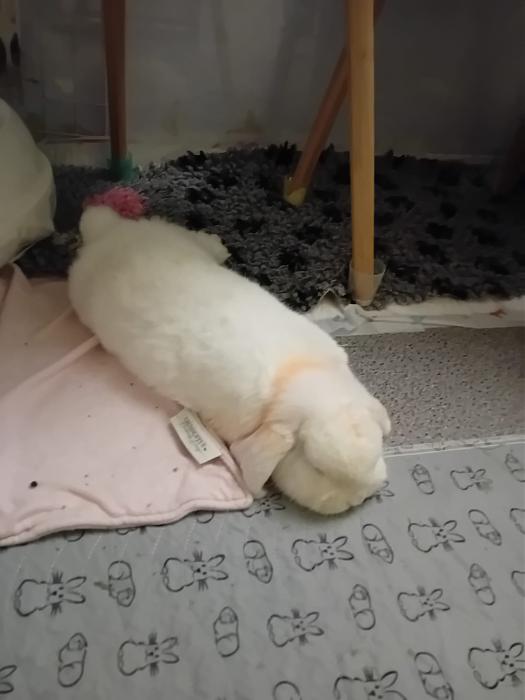 Klicke auf die Grafik f�r eine gr��ere Ansicht

Name:	IMG-20260308-WA0076.jpg
Hits:	0
Gr��e:	134,8 KB
ID:	216405