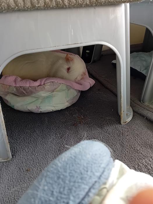 Klicke auf die Grafik f�r eine gr��ere Ansicht

Name:	IMG-20260308-WA0079.jpg
Hits:	0
Gr��e:	223,9 KB
ID:	216408