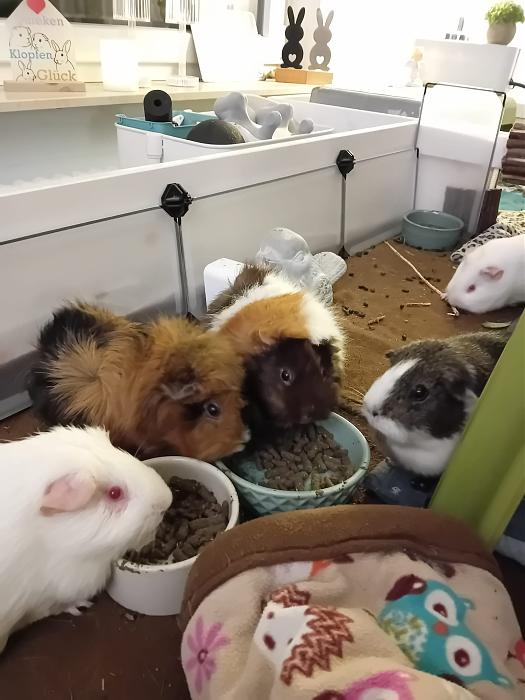 Klicke auf die Grafik f�r eine gr��ere Ansicht

Name:	IMG-20260308-WA0075.jpg
Hits:	0
Gr��e:	200,4 KB
ID:	216409