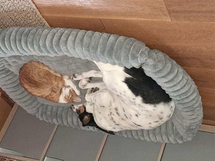 Klicke auf die Grafik f�r eine gr��ere Ansicht

Name:	20260125_151540.jpg
Hits:	0
Gr��e:	304,7 KB
ID:	216411