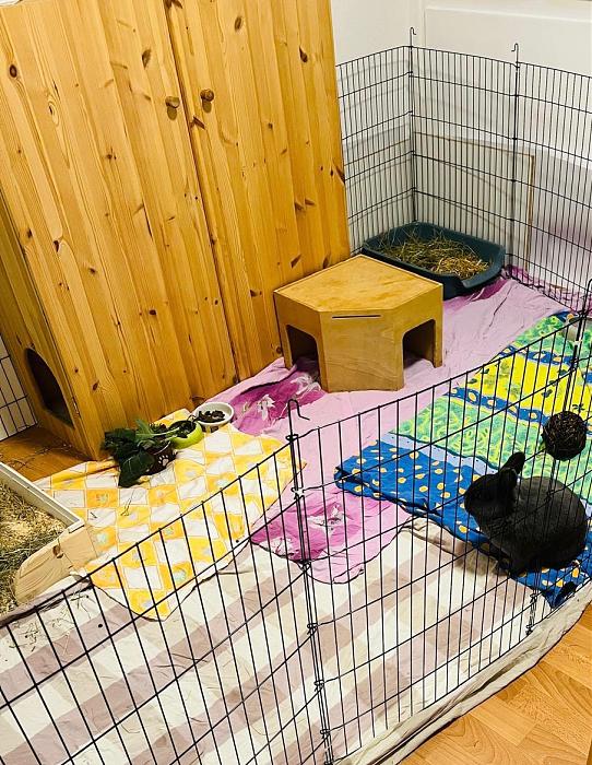 Klicke auf die Grafik f�r eine gr��ere Ansicht

Name:	8e913cd3-ca0e-4c2b-a33e-55d6db466e13.jpg
Hits:	1
Gr��e:	72,2 KB
ID:	216433