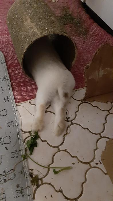 Klicke auf die Grafik f�r eine gr��ere Ansicht

Name:	IMG-20260315-WA0051.jpg
Hits:	0
Gr��e:	169,7 KB
ID:	216434