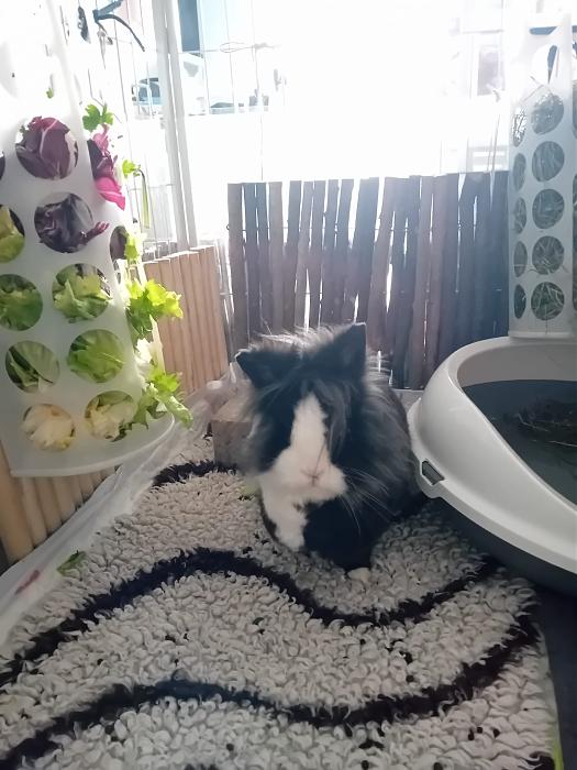 Klicke auf die Grafik f�r eine gr��ere Ansicht

Name:	IMG-20260315-WA0056.jpg
Hits:	0
Gr��e:	222,0 KB
ID:	216437