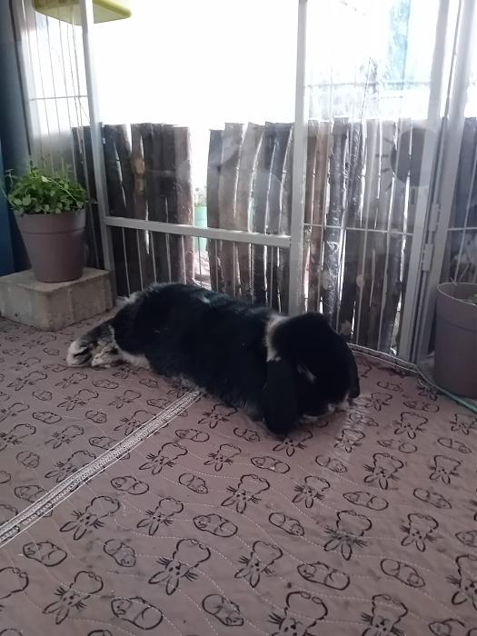 Klicke auf die Grafik f�r eine gr��ere Ansicht

Name:	IMG-20260315-WA0052.jpg
Hits:	1
Gr��e:	232,1 KB
ID:	216438