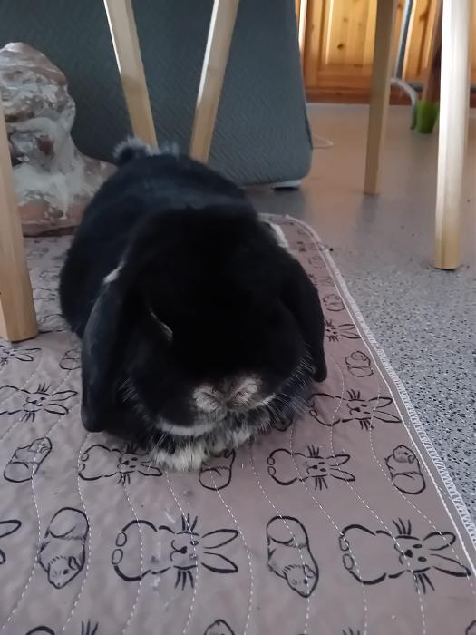 Klicke auf die Grafik f�r eine gr��ere Ansicht

Name:	IMG-20260315-WA0053.jpg
Hits:	0
Gr��e:	180,8 KB
ID:	216439