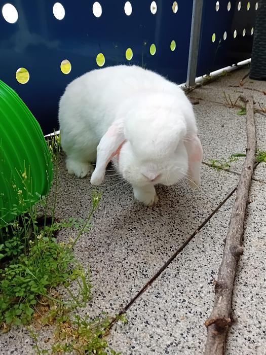 Klicke auf die Grafik f�r eine gr��ere Ansicht

Name:	IMG-20260315-WA0067.jpg
Hits:	0
Gr��e:	310,8 KB
ID:	216450