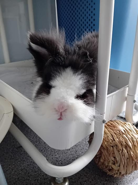 Klicke auf die Grafik f�r eine gr��ere Ansicht

Name:	IMG-20260315-WA0070.jpg
Hits:	0
Gr��e:	194,7 KB
ID:	216451