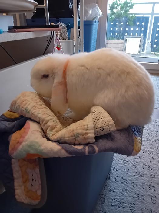 Klicke auf die Grafik f�r eine gr��ere Ansicht

Name:	IMG-20260315-WA0068.jpg
Hits:	0
Gr��e:	192,5 KB
ID:	216452