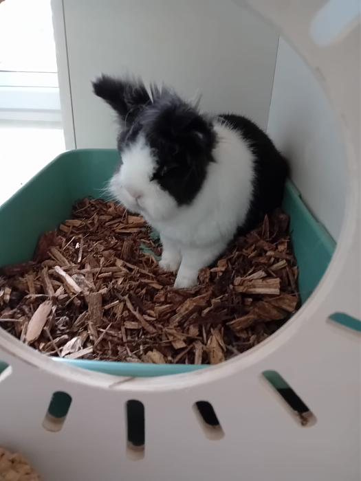 Klicke auf die Grafik f�r eine gr��ere Ansicht

Name:	IMG-20260315-WA0065.jpg
Hits:	0
Gr��e:	146,6 KB
ID:	216453